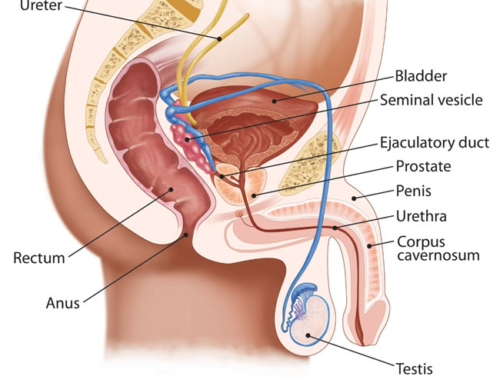 Are You an IT guy?  You May Be Suffering From “IT Prostatitis”